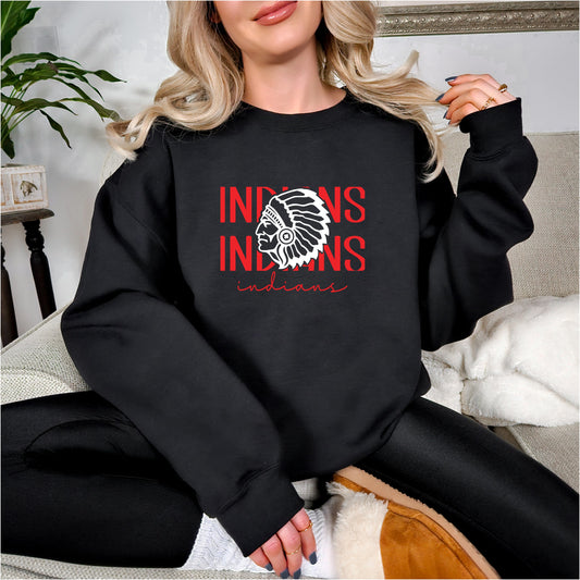 Carlisle Indians split T-Shirt or Sweatshirt